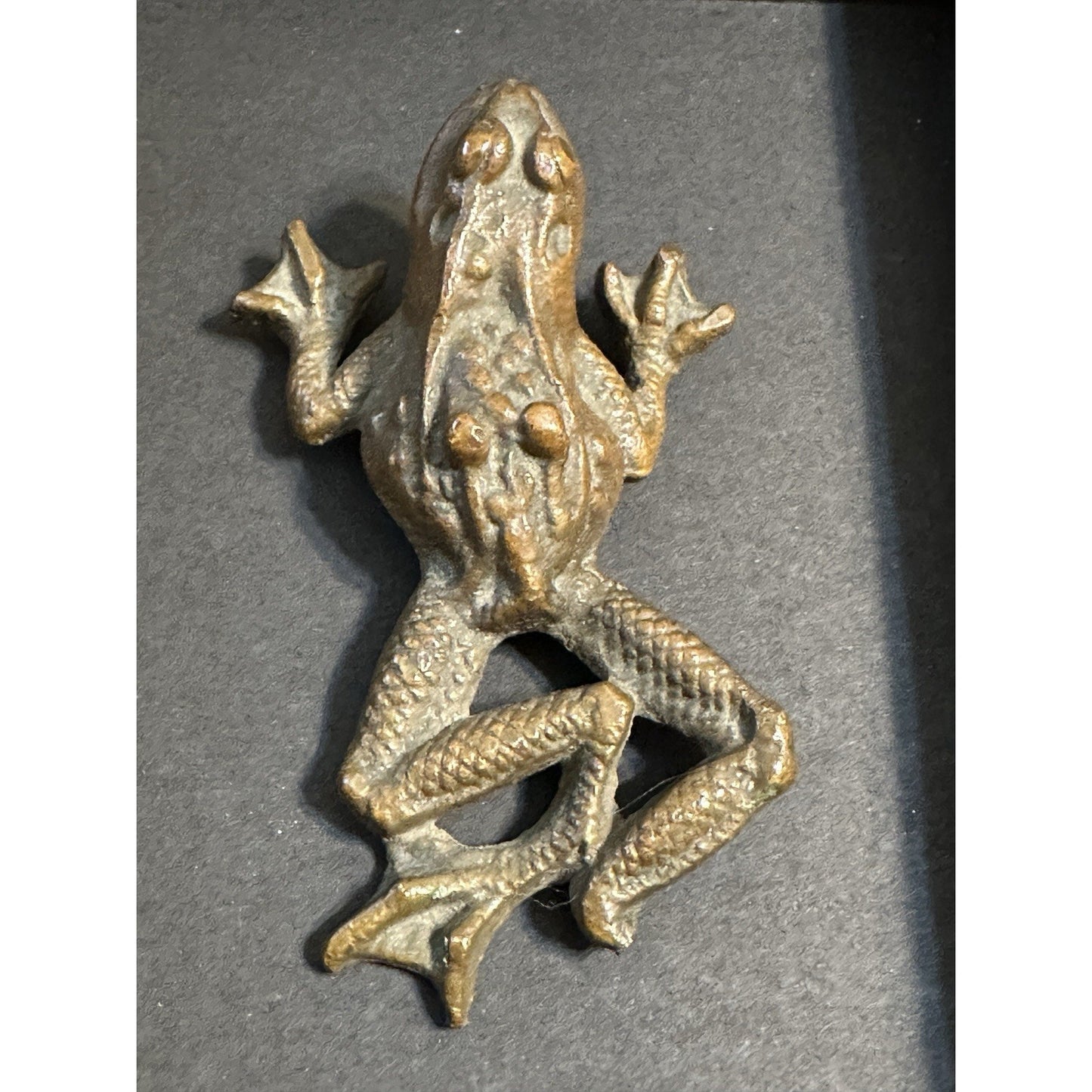 Antique Bronze Frog Paperweight - Very Detailed and Marked